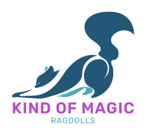 logo kind of magic ragdoll