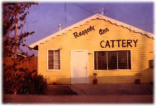 raggedy ann cattery maison