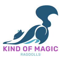 logo kind of magic ragdoll